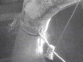 horse mane rope1980s 1990s A4 Photo Print