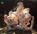 horses 7 Art A4 Photo Print