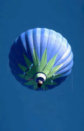 hot air balloon 49 Vintage A4 Photo Print