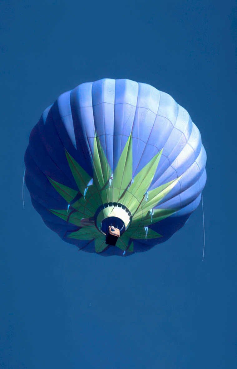 hot air balloon 49 Vintage A4 Photo Print