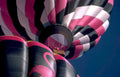 hot air balloon 54 Vintage A4 Photo Print