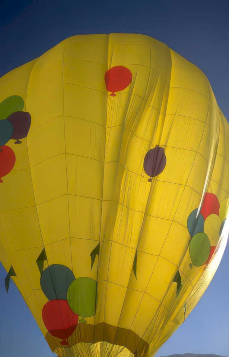 hot air balloon 8 Vintage A4 Photo Print