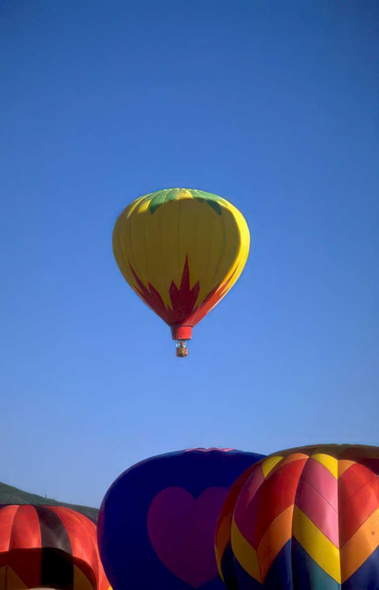 hot air balloons 10 Vintage A4 Photo Print