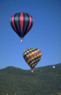 hot air balloons 18 Vintage A4 Photo Print