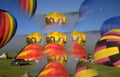 hot air balloons 24 Vintage A4 Photo Print