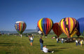 hot air balloons 29 Vintage A4 Photo Print