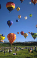 hot air balloons 32 Vintage A4 Photo Print