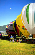 hot air balloons 33 Vintage A4 Photo Print