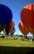 hot air balloons 37 Vintage A4 Photo Print