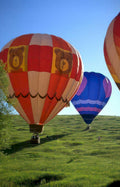 hot air balloons 38 Vintage A4 Photo Print