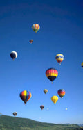 hot air balloons 39 Vintage A4 Photo Print