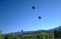 hot air balloons 41 Vintage A4 Photo Print