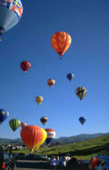 hot air balloons 43 Vintage A4 Photo Print
