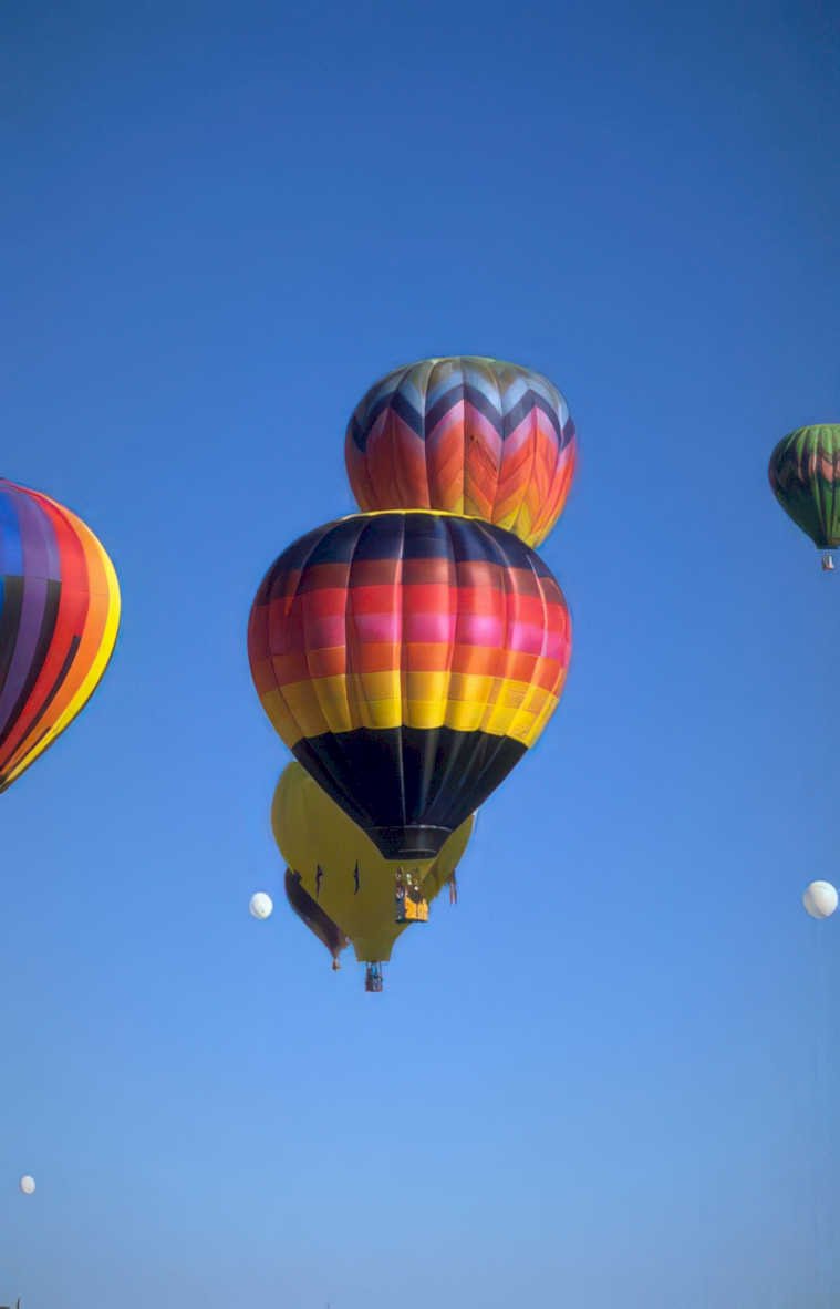 hot air balloons 45 Vintage A4 Photo Print