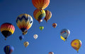 hot air balloons 48 Vintage A4 Photo Print