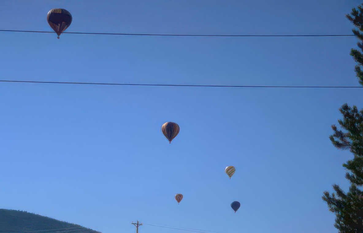 hot air balloons 49 Vintage A4 Photo Print