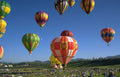 hot air balloons 51 Vintage A4 Photo Print