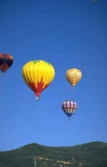 hot air balloons 6 Vintage A4 Photo Print