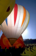 hot air balloons 9 Vintage A4 Photo Print