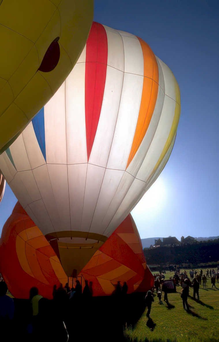 hot air balloons 9 Vintage A4 Photo Print