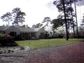 house driveway trees 11980s 1990s A4 Photo Print