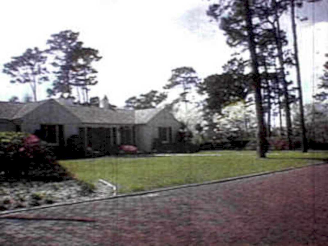 house driveway trees 11980s 1990s A4 Photo Print