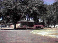 house driveway trees 21980s 1990s A4 Photo Print
