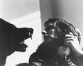 howling 03 film star poster A4 Photo Print
