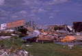 hurricane debris florida 1980s 1990s A4 Photo Print
