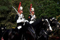 hussars horses parade1980s 1990s A4 Photo Print