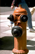 hydrant nyc street Vintage A4 Photo Print