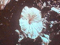 iceberg arctic ocean1980s 1990s A4 Photo Print