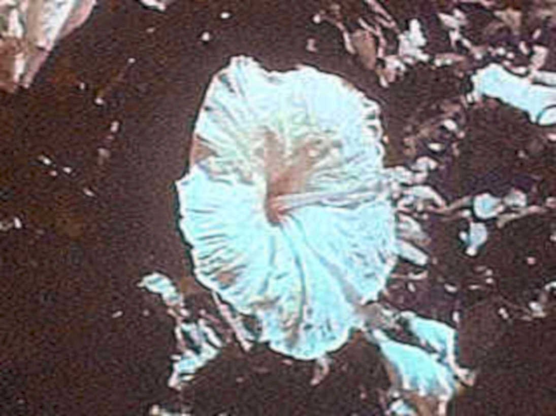 iceberg arctic ocean1980s 1990s A4 Photo Print