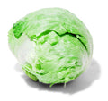 iceberg lettuce head1980s 1990s A4 Photo Print