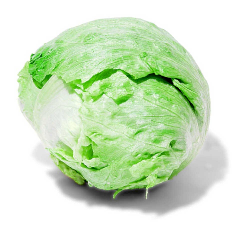 iceberg lettuce head1980s 1990s A4 Photo Print