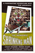 incredible shrinking man  01 film star poster A4 Photo Print