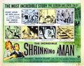 incredible shrinking man  02 film star poster A4 Photo Print