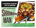 incredible shrinking man  03 film star poster A4 Photo Print