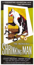 incredible shrinking man  04 film star poster A4 Photo Print
