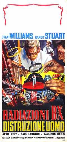 incredible shrinking man  08 film star poster A4 Photo Print