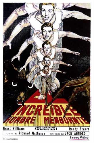 incredible shrinking man  09 film star poster A4 Photo Print