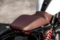 indian ftr s 1200 2021 14556 34 Car A4 Photo Print