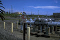industrial tanks pressure 1980s 1990s A4 Photo Print