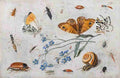 insects4 Art A4 Photo Print UK