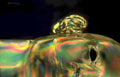 iridescentpumpkin liquiddrop macro Vintage A4 Photo Print