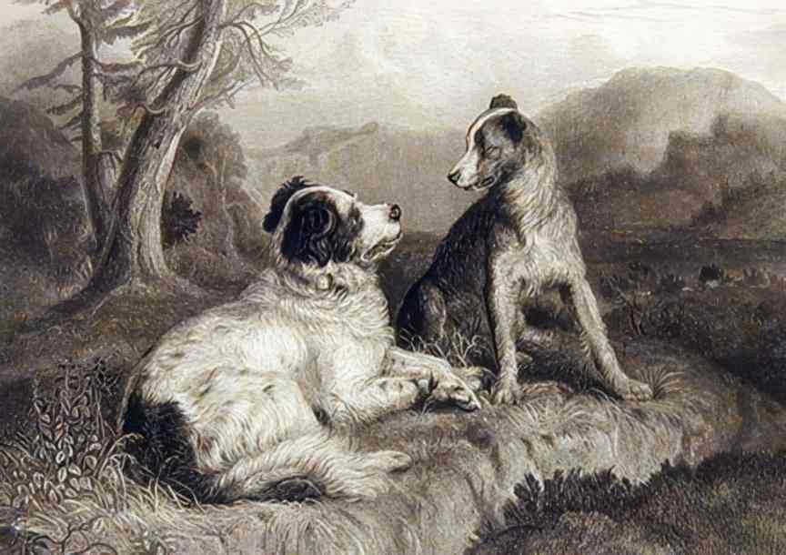 irish wolfhounds landscape Vintage world war A4 Photo Print
