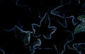 ivy leaves night Vintage A4 Photo Print
