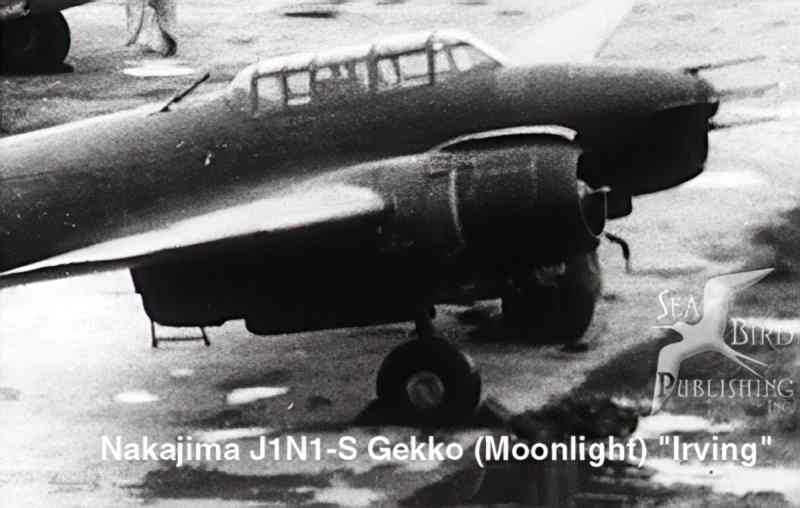 j1n1 gecko irving Vintage world war A4 Photo Print