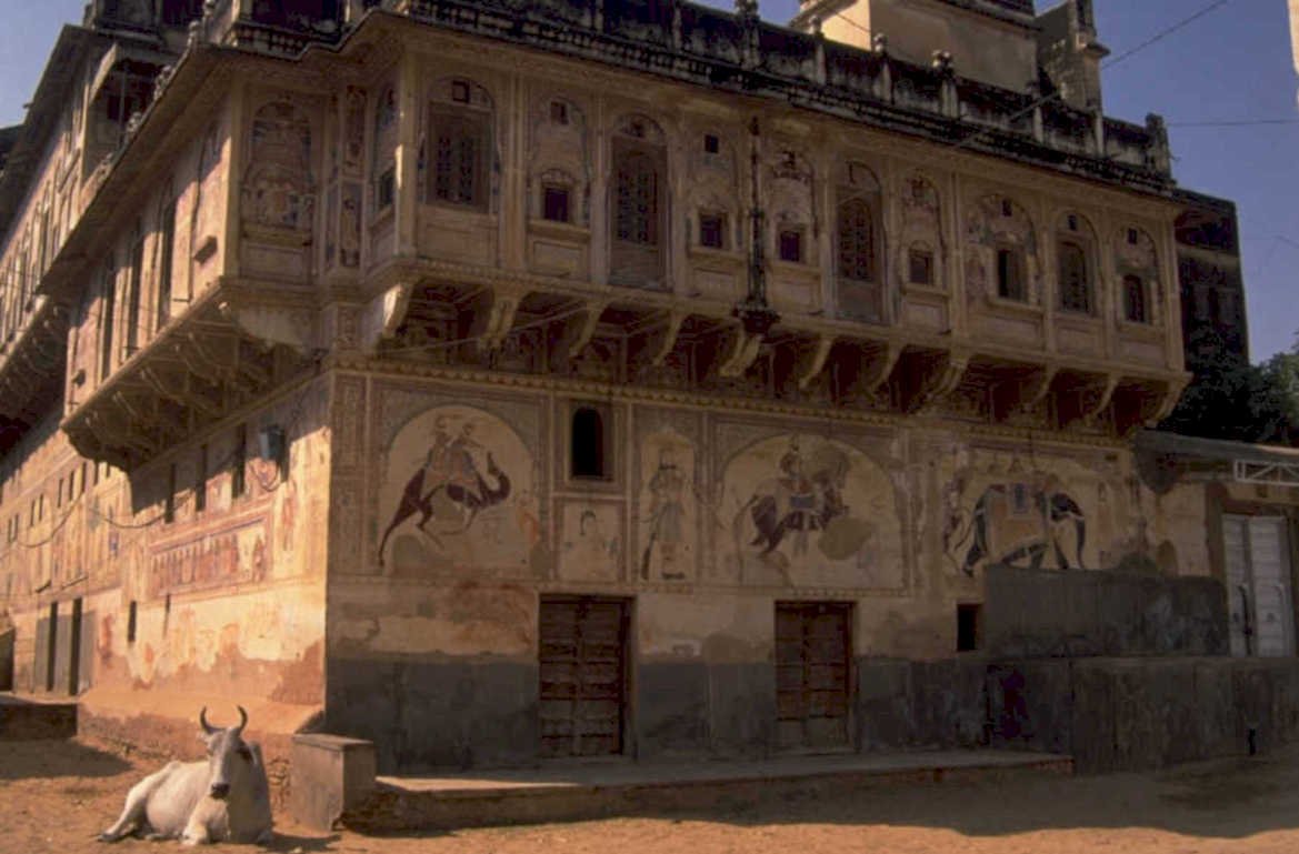 jaipur fort elephants 1980s 1990s A4 Photo Print