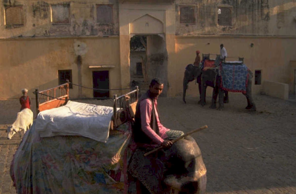 jaipur sunset elephant 1980s 1990s A4 Photo Print